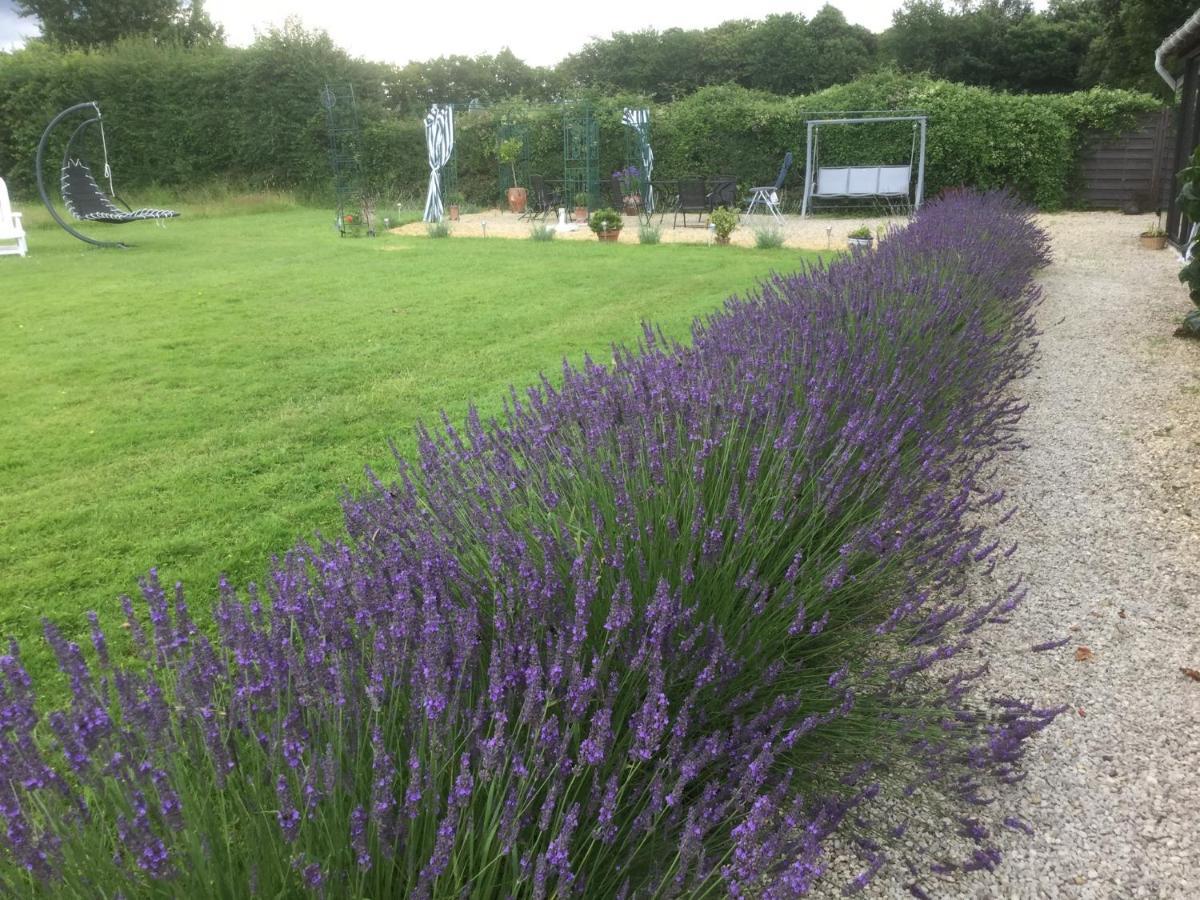 Le Jardin De Rose 24 Feuillebert Romagne 86700 Bed & Breakfast Luaran gambar