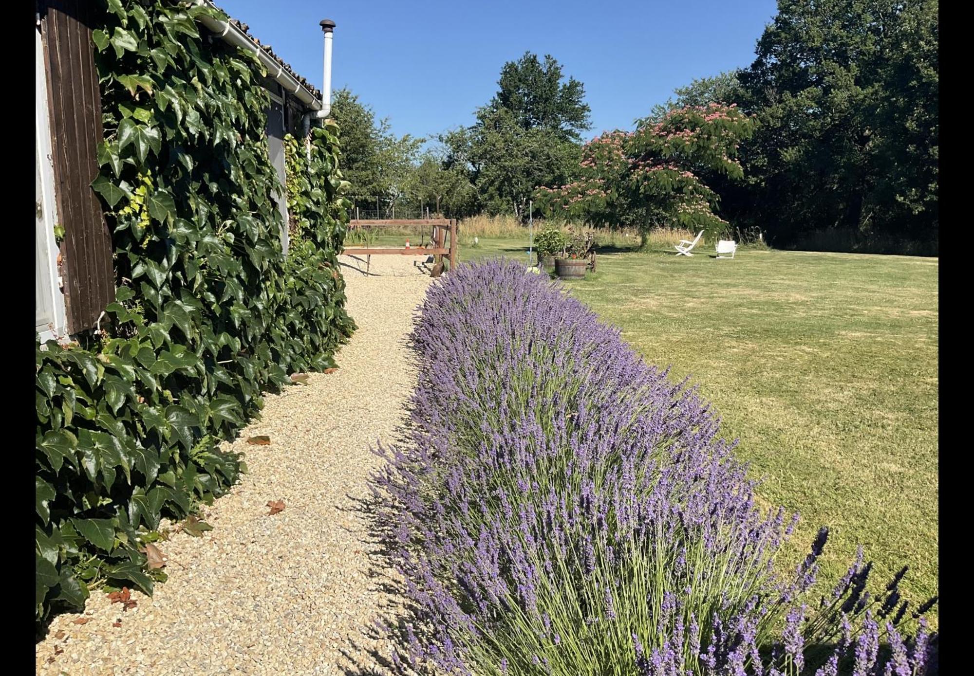 Le Jardin De Rose 24 Feuillebert Romagne 86700 Bed & Breakfast Luaran gambar